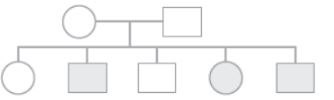 CBSE-Class-12-Biology-Principles-of-Inheritance-and-Variation-Assignment-Set-C-14
