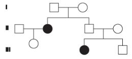 CBSE-Class-12-Biology-Principles-of-Inheritance-and-Variation-Assignment-Set-E-10