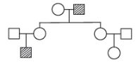 CBSE-Class-12-Biology-Principles-of-Inheritance-and-Variation-Assignment-Set-E-3