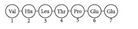 CBSE-Class-12-Biology-Principles-of-Inheritance-and-Variation-Assignment-Set-E-4
