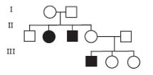 CBSE-Class-12-Biology-Principles-of-Inheritance-and-Variation-Assignment-Set-E-8