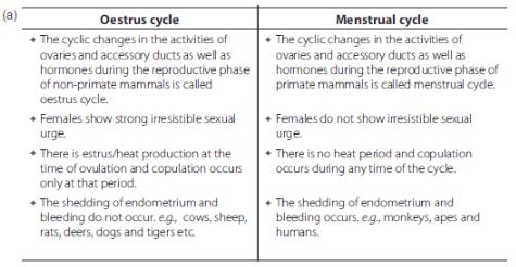 CBSE-Class-12-Biology-Reproduction-In-Organisms-Assignment-Set-C-1