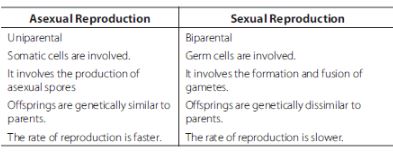 CBSE-Class-12-Biology-Reproduction-In-Organisms-Assignment-Set-C-2