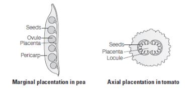 CBSE-Class-12-Biology-Reproduction-In-Organisms-Assignment-Set-C-5
