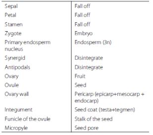CBSE-Class-12-Biology-Reproduction-In-Organisms-Assignment-Set-C-6