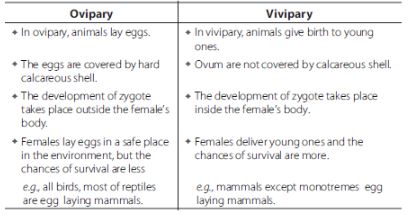 CBSE-Class-12-Biology-Reproduction-In-Organisms-Assignment-Set-C