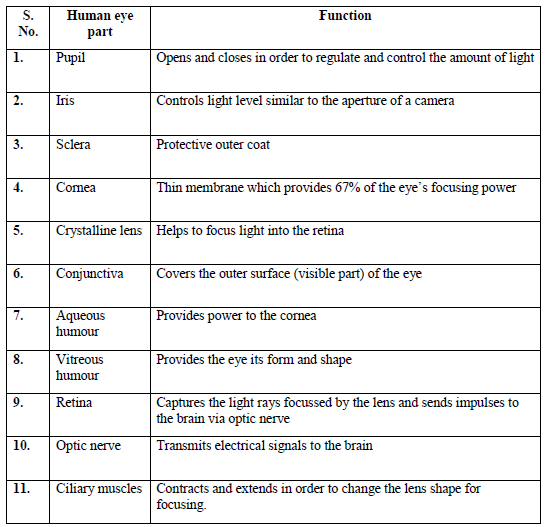 CBSE-Class-12-Biology-Sense-organs-Notes-2