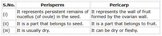 CBSE-Class-12-Biology-Sexual-Reproduction-in-Flowering-Plants-Set-B-3