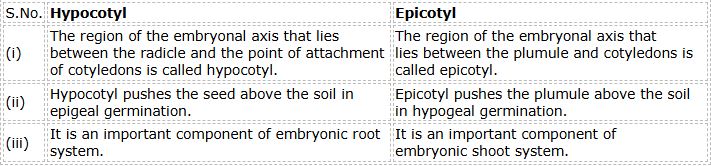 CBSE-Class-12-Biology-Sexual-Reproduction-in-Flowering-Plants-Set-B