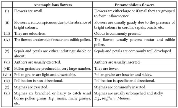 CBSE-Class-12-Biology-Sexual-Reproduction-in-Flowering-Plants-Set-C-11