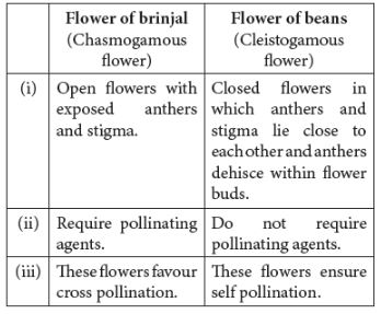 CBSE-Class-12-Biology-Sexual-Reproduction-in-Flowering-Plants-Set-C-13