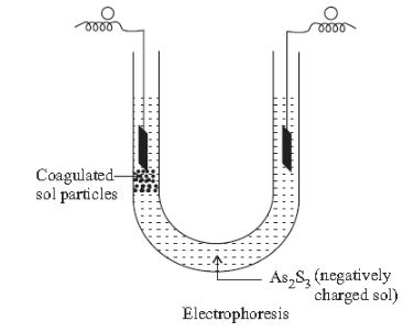 CBSE-Class-12-Chemistry-Surface-Chemistry-Assignment-Set-B-2