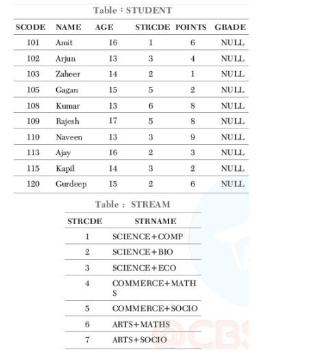 CBSE-Class-12-Computer-Science-Structured-Query-Language-SQL-Assignment-12