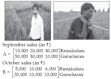 CBSE-Class-12-Mathematics-Matrices-and-Determinants-MCQs-8