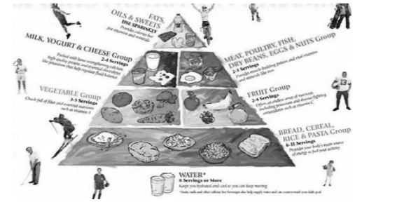 CBSE-Class-12-Physical-Education-Case-Study-Questions-MCQs-Set-C-1