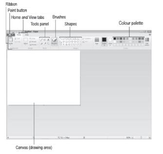 CBSE-Class-4-Computer-Science-MS-Paint-Notes-1