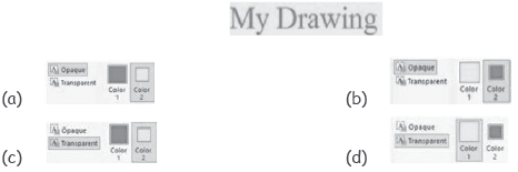 CBSE-Class-4-Computer-Studies-MS-Paint-MCQs-1