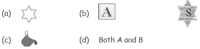 CBSE-Class-4-Computer-Studies-MS-Paint-MCQs-10