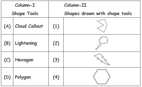 CBSE-Class-4-Computer-Studies-MS-Paint-MCQs-11
