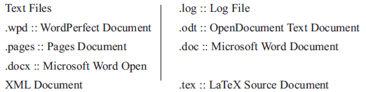 CBSE-Class-7-Computer-Science-File-Format-Notes-1