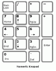 CBSE-Class-7-Computer-Science-Typing-Tutor -Notes-4