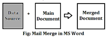 CBSE-Class-8-Computer-Science-Working-with-Tables-and-Mail-Merge-in-MS-Word-Notes-4