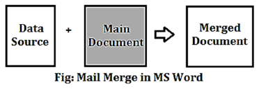 CBSE-Class-8-Computer-Science-Working-with-Tables-and-Mail-Merge-in-MS-Word-Notes-5