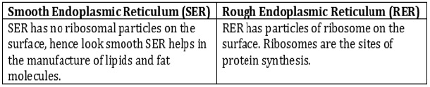 CBSE-Class-9-Biology-Fundamental-Unit-Of-Life-Worksheet-6