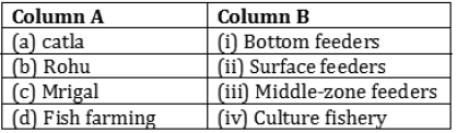 CBSE-Class-9-Biology-Improvement-In-Food-Resources-Worksheet-Set-C-1