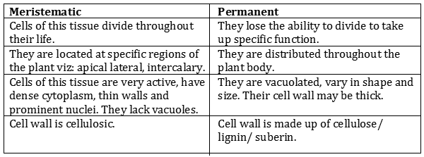 CBSE-Class-9-Biology-Tissues-Worksheet-Set-C-1