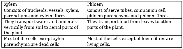 CBSE-Class-9-Biology-Tissues-Worksheet-Set-C-13