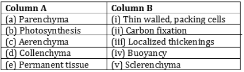 CBSE-Class-9-Biology-Tissues-Worksheet-Set-C-3