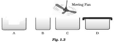 CBSE-Class-9-Chemistry-Matter-In-Our-Surrounding-Worksheet-Set-B-5