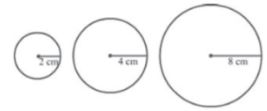 CBSE-Class-9-Mathematics-Introduction-To-Euclids-Geometry-Notes-11