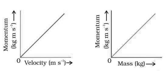 CBSE-Class-9-Physics-Force-And-Laws-Of-Motion-Worksheet-Set-C-4