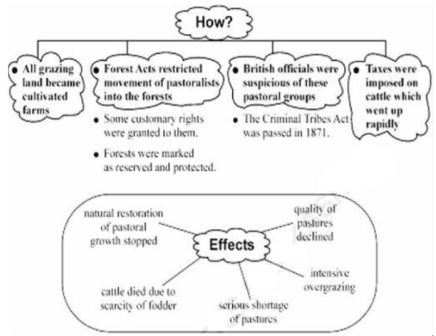 CBSE-Class-9-Social-Science-Pastoralists-In-The-Modern-world-Chapter-Notes-Set-B