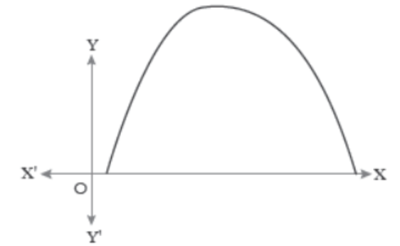 Case-Study-Chapter-2-Polynomials-Mathematics-4