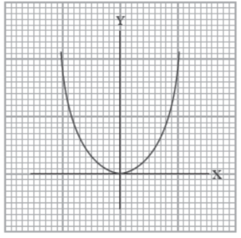 Case-Study-Chapter-2-Polynomials-Mathematics-5