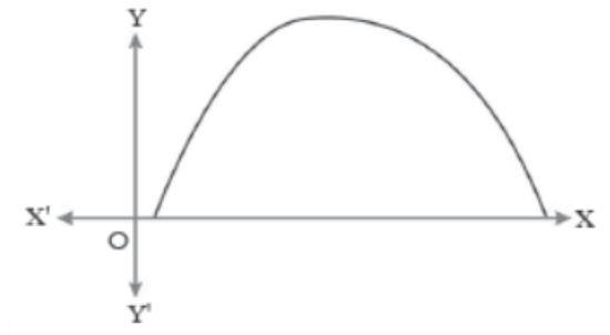Case-Study-Chapter-2-Polynomials-Mathematics-7