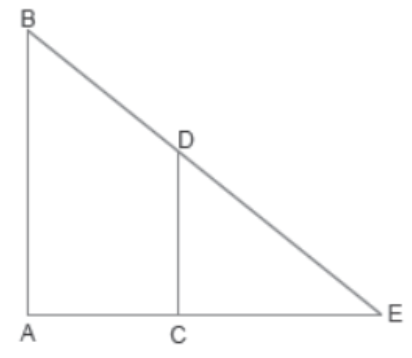 Case-Study-Chapter-6-Triangles-Mathematics-1