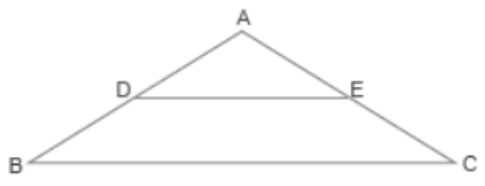 Case-Study-Chapter-6-Triangles-Mathematics-4