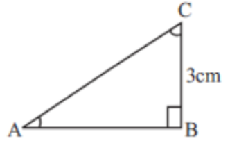 Case-Study-Chapter-8-Trigonometry-Mathematics-1