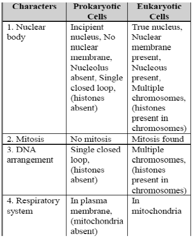 Class-7-Science-Cell-Notes-1