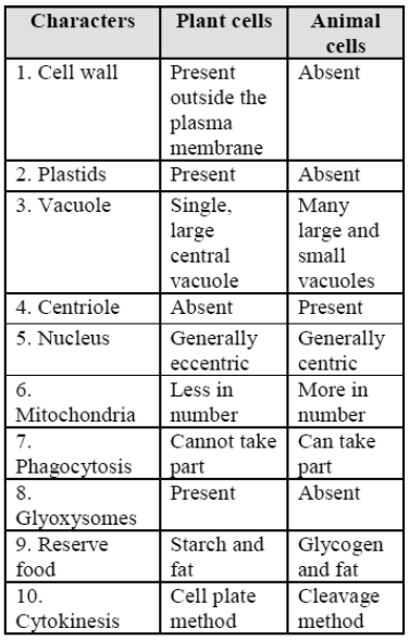 Class-7-Science-Cell-Notes-3