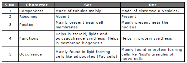 Class-7-Science-Cellular-Level-of-Organisation-Notes-8