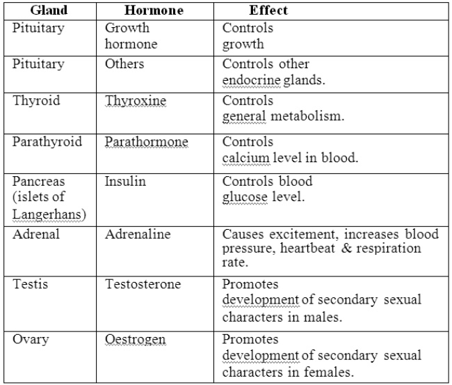 Class-7-Science-Control-And-Coordination-Notes-6