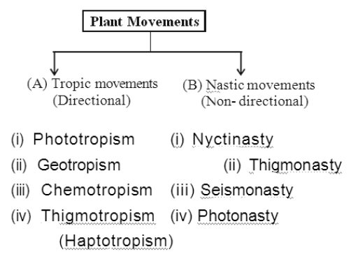 Class-7-Science-Control-And-Coordination-Notes-7