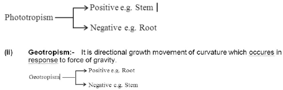 Class-7-Science-Control-And-Coordination-Notes-8