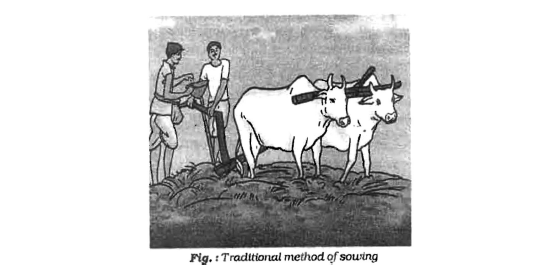 Class-7-Science-Food-Notes-5