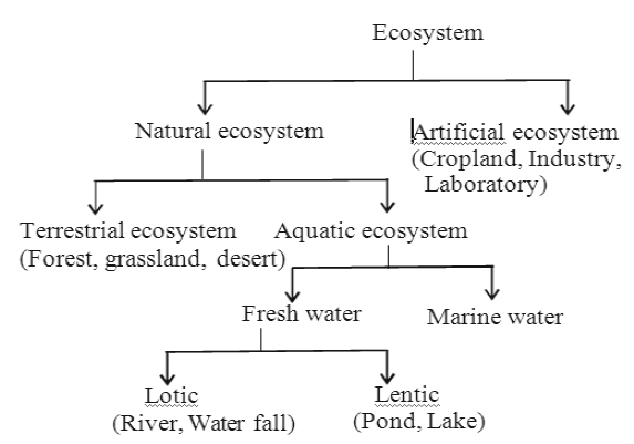 Class-7-Science-Our-Environment-Notes-1
